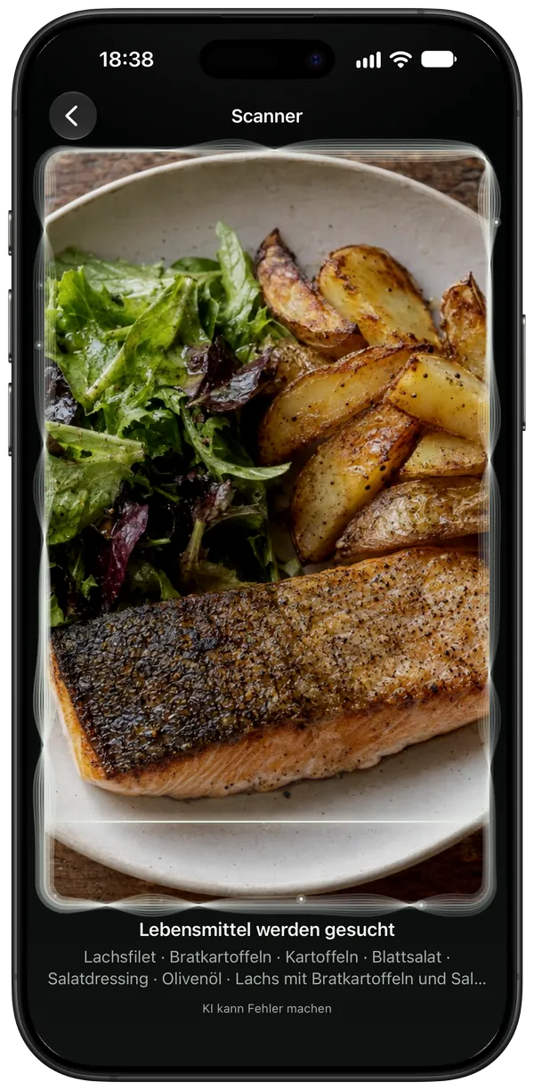Ein Teller mit Lachs, Kartoffeln und Salat wird gescannt